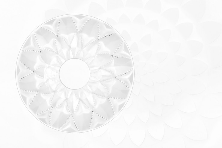 rosace Languedoc SET DESIGN PAPER POUR LE CATALOGUE LALIQUE CRISTAL - COLLECTION LANGUEDOC AH 2015, INSTALLATION ET CRÉATION DE VÉGÉTAUX EN PAPIER BLANC, KIRIGAMI, PAPIER DÉCOUPÉ, PARIS 2015, LAURE DEVENELLE 