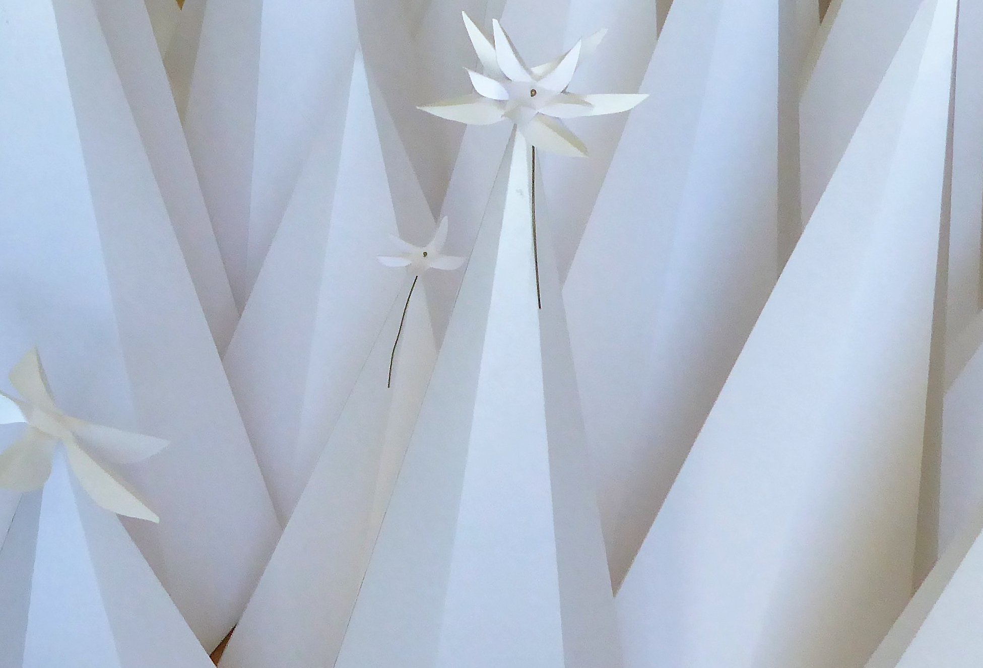 Sculpture papier, edelweiss flower paper art, montagne 3D volume, technique origami, étude pour Helena Rubinstein, Laure Devenelle