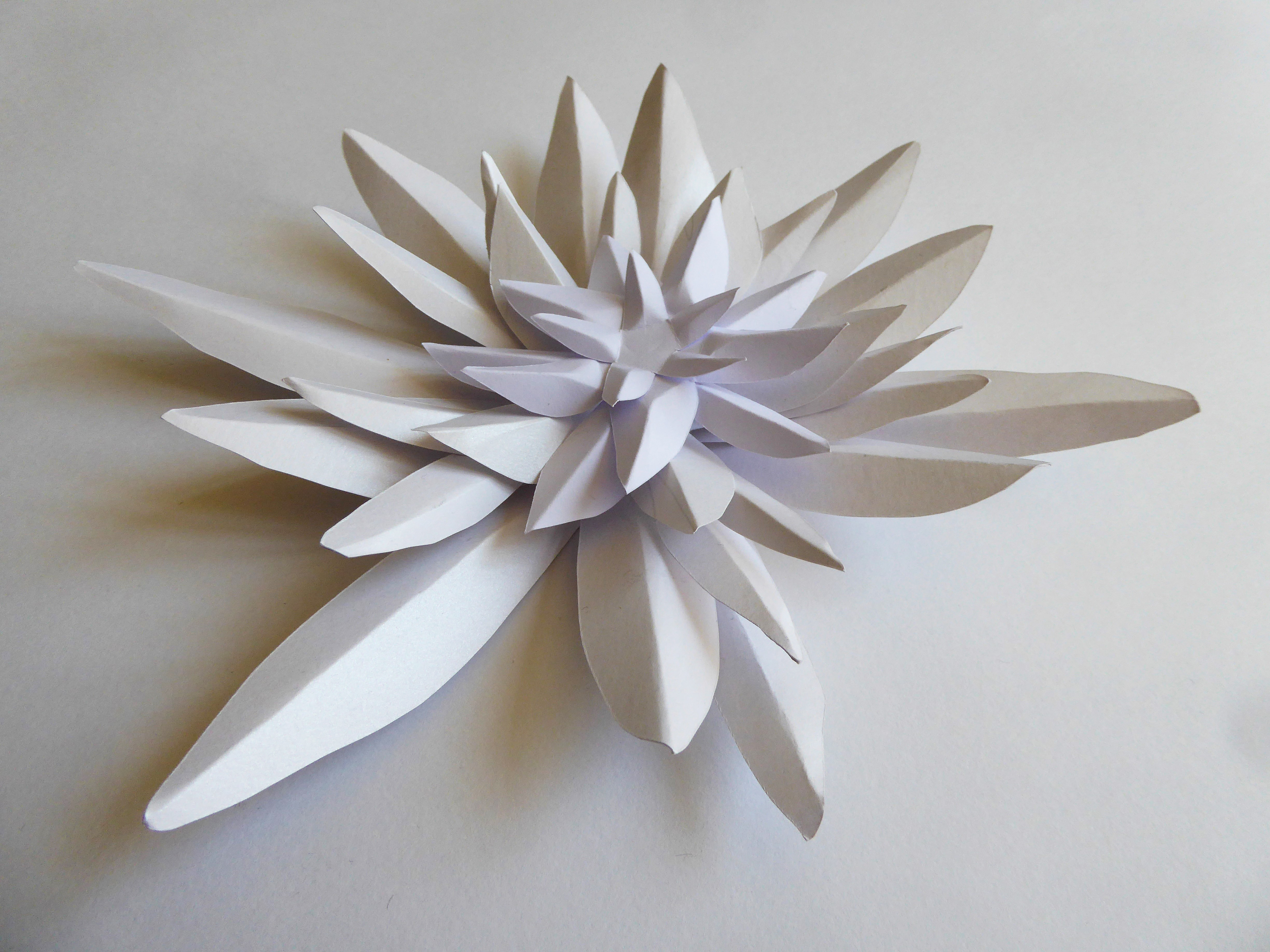 Sculpture papier, edelweiss flower paper art, superpositioni et volume 3D, étude pour Helena Rubinstein, Laure Devenelle
