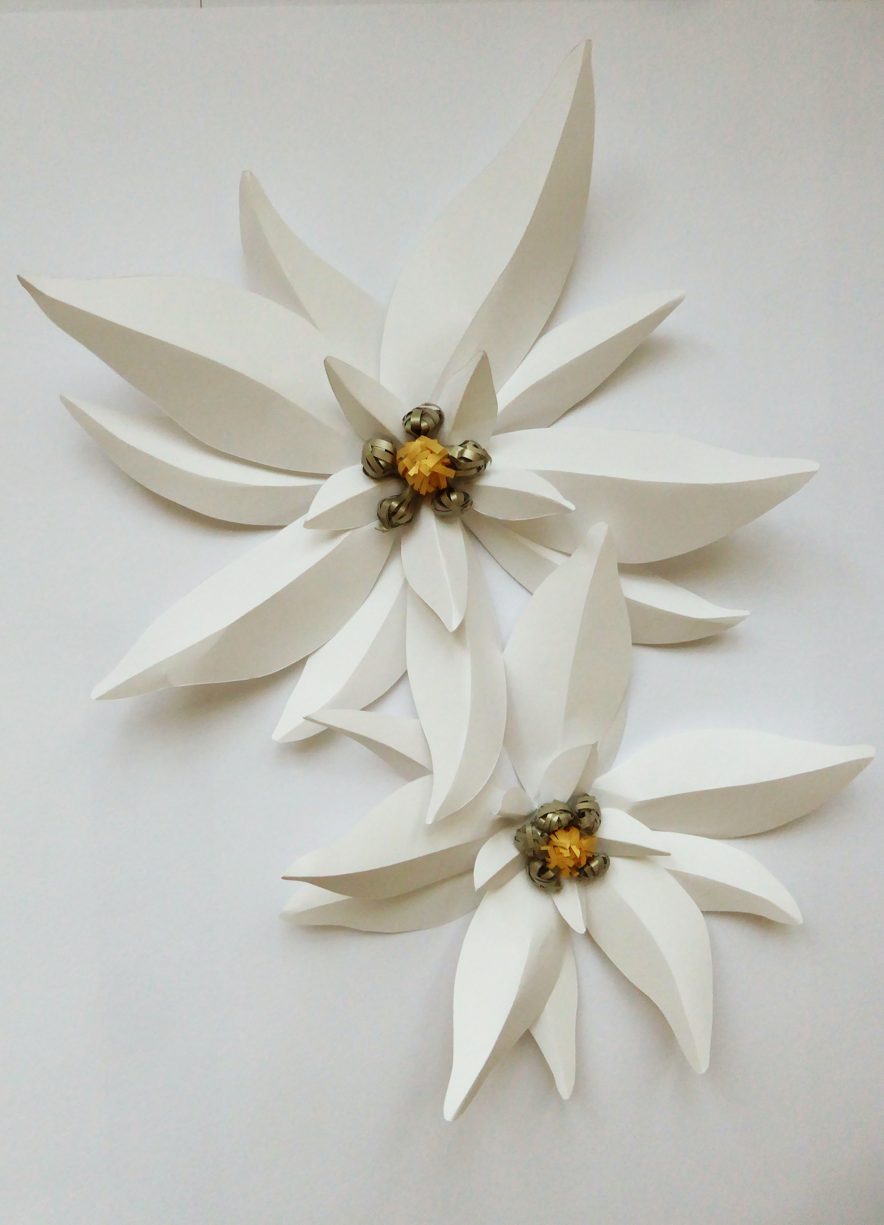 Sculpture papier, edelweiss flower paper art, technique origami et volume 3D, étude pour Helena Rubinstein, Laure Devenelle