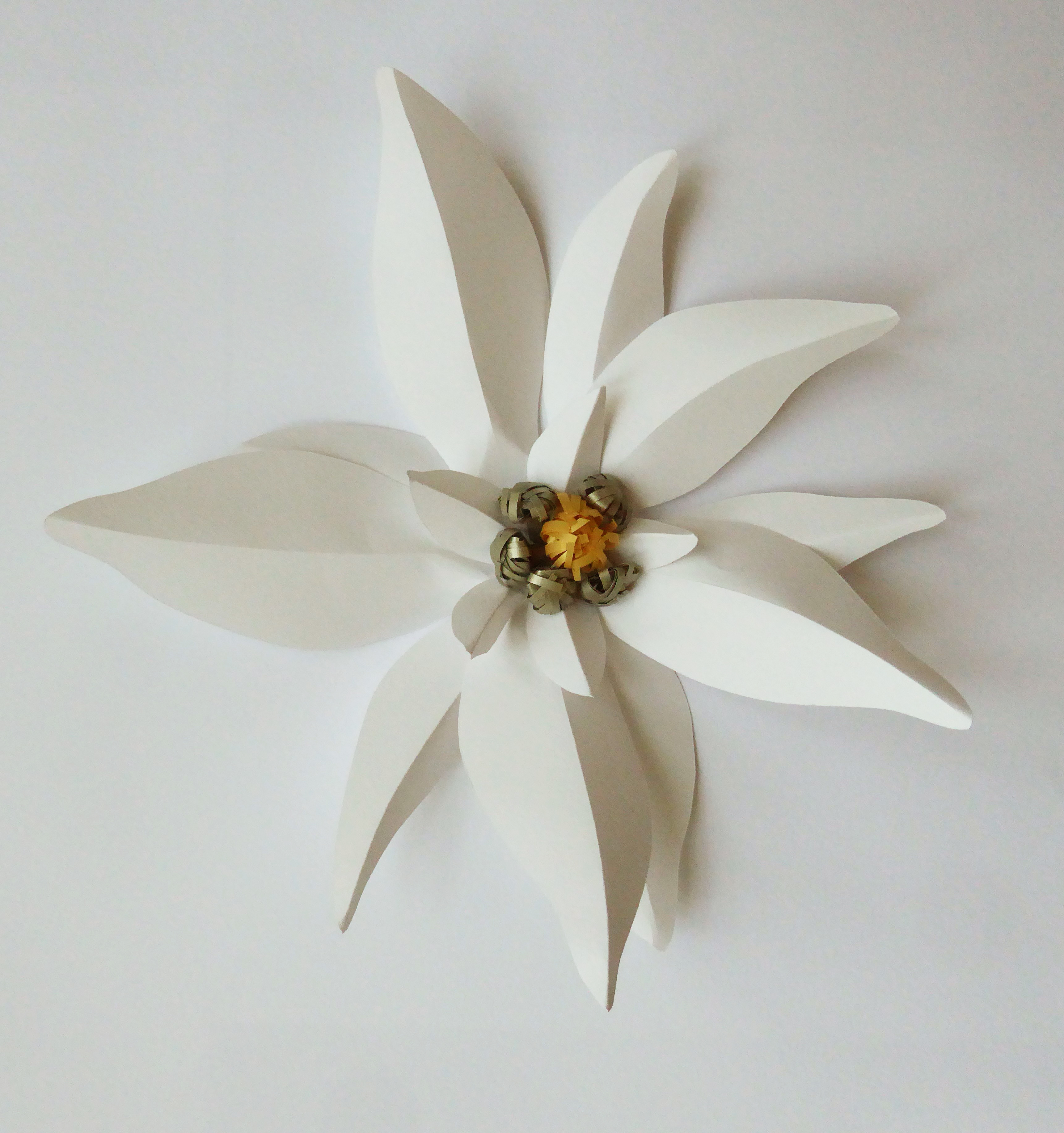 Edelweiss flower paper art, technique  volume 3D, étude pour Helena Rubinstein, Laure Devenelle