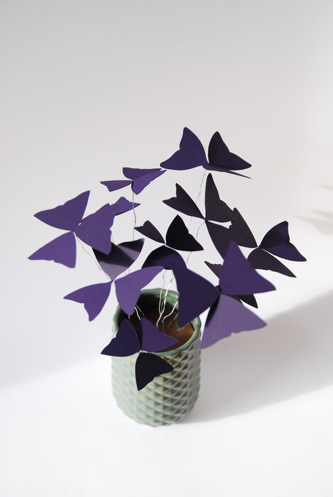Oxalys-paper-plant-art-du-papier-purple-nature-2018-laure-devenelle