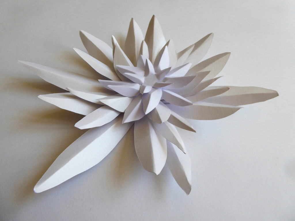 Fleur Edelweiss paper art Laure Devenelle