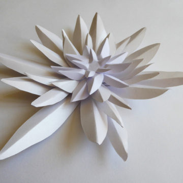 Fleur Edelweiss paper art Laure Devenelle