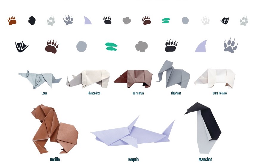 Origami-animaux-en-voie-de-disparition-wwf-pas-emprunte-générale-d-optique-Laure-Devenelle