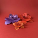 Sakura paper - fleurs de cerisiers en volume, Laure Devenelle