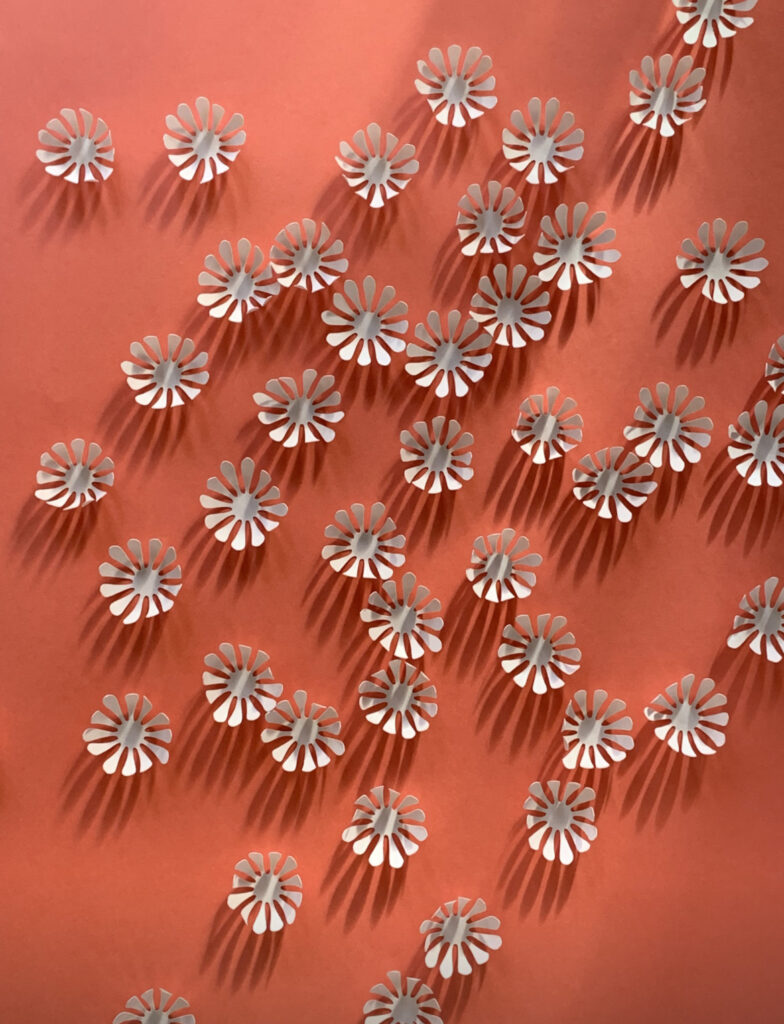 Fleurs miniatures en papier sous le soleil, paper cut 3D, création Laure Devenelle, 2021